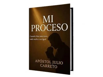Mi proceso