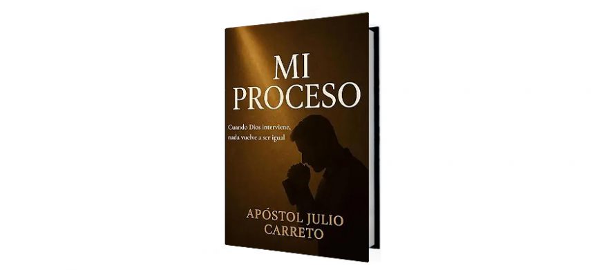 Mi proceso